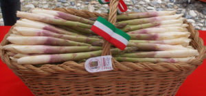 asparagi Vassallo Giuseppe Santena